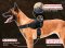 Multipurpose Nylon Harness for Belgian Malinois