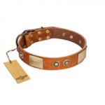 "Perfect Blend" FDT Artisan Tan Leather Belgian Malinois Collar 1 1/2 inch (40 mm) wide