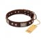 "Pirate Skull" FDT Artisan Brown Leather Belgian Malinois Collar with Old Silver Look Plates and Skulls