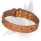 'Spring mood' Belgian Malinois Leather Collar for Joyful Walking