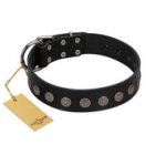 "Silent Star" Handmade FDT Artisan Designer Black Leather Belgian Malinois Collar with Engraved Plates