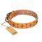 'Top-Flight' FDT Artisan Adorned Tan Leather Belgian Malinois Collar