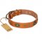 "Dandy Pet" FDT Artisan Handcrafted Tan Leather Belgian Malinois Collar