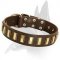 Dazzling Leather Collar with brass plates for Belgian Malinois