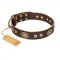 "One-of-a-Kind" FDT Artisan Handmade Decorated Brown Leather Belgian Malinois Collar