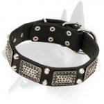 Stunning Leather Collar With Nickel Plates And Cones