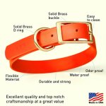 Viper Biothane Collar with Brass Hardware_11