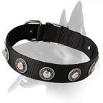 Everyday Nylon Collar With Dazzling Decorations