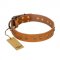 "Autumn Story" FDT Artisan Leather Belgian Malinois Collar with Old Bronze Look Studs