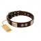 "Sense of Freedom" FDT Artisan Brown Leather Belgian Malinois Collar with Old Bronze-Plated Studs and Plates