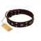 "Bigwig Woof" FDT Artisan Brown Leather Belgian Malinois Collar with Chrome Plated Stars and Square Studs