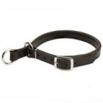 Belgian Malinois Leather Choke Dog Collar