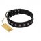 "Silver Flower" Exclusive FDT Artisan Black Leather Belgian Malinois Collar with Silver-Like Studs