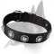Everyday Nylon Collar With Dazzling Decorations