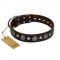 "Victory Ode" FDT Artisan Brown Leather Belgian Malinois Collar with Silver-like Plated Decorations