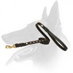 Leather Leash with studs for Belgian Malinois