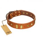 "Woofy Dawn" FDT Artisan Tan Leather Belgian Malinois Collar with Plates and Rhombs
