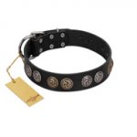 "Mister Exclusive" Designer FDT Artisan Black Leather Belgian Malinois Collar with Medallions