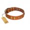 "Sand of Time" FDT Artisan Tan Leather Belgian Malinois Collar with Old Bronze-like Studs and Plates