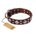 "King of Grace" FDT Artisan Stylish Leather Belgian Malinois Collar with Old Silver-Like Plated Decorations
