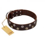 "Shadow Warrior" FDT Artisan Mystic Brown Leather Belgian Malinois Collar with Runes