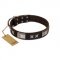 "Satin Beauts" FDT Artisan Brown Leather Belgian Malinois Collar with Stars and Plates