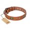 "Stunning Dress" FDT Artisan Tan Leather Belgian Malinois Collar with Old Bronze Look Plates and Studs