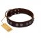 "King Arthur" FDT Artisan Brown Leather Belgian Malinois Collar with Spiky Plates