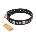 'Space Walk' FDT Artisan Black Leather Belgian Malinois Collar with Beautiful Adornments