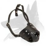 Everyday Leather Muzzle for Belgian Malinois