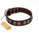 "Treasure Hunter" FDT Artisan Brown Leather Belgian Malinois Collar with Old-Bronze-like and Silvery Medallions