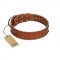 "Star Light" Stylish FDT Artisan Tan Leather Belgian Malinois Collar with Silver-Like Studs
