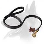 'Whatever The Weather' Belgian Malinois Nylon Leash
