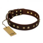 "Fashion Studs" FDT Artisan Decorated Leather Belgian Malinois Collar with Old Bronze-Plated Steel Hardware