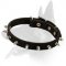 Spiked Leather Collar for Belgian Malinois
