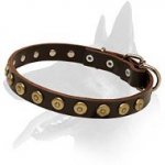 Elegant Leather Collar with Doted Circles for Belgian Malinois