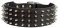 Most Durable Leather Collar With Shiny Spikes