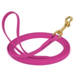 Biothane Leash 15 Ft w/ Brass Hardware_1