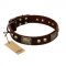 "Magic Amulet" Brown Leather Belgian Malinois Collar with Skulls and Plates