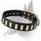 Fabulous Wide Leather Collar with Plates for Belgian Malinois