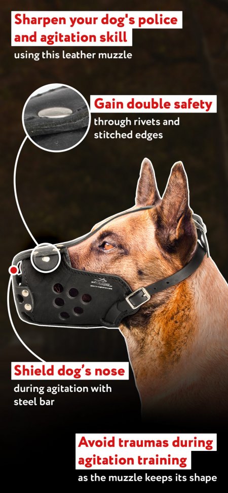 police dog muzzle