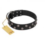 "Power-Flower" FDT Artisan Black Leather Belgian Malinois Collar with Two Rows of Silver-like Studs with Engraved Flowers