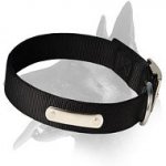 2 Ply Nylon Collar with name tag for Belgian Malinois