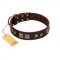 "Object of Virtu" FDT Artisan Brown Leather Belgian Malinois Collar with Old Silver-like Square Studs and Pyramids