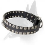 Elegant Leather Collar With Extravagant Cones