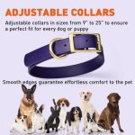 Viper Biothane Collar with Brass Hardware_13