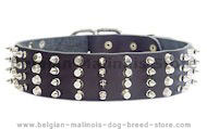 Fashionable Leather Collar With Metal Adornment