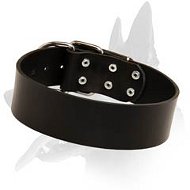 Simple design Leather Collar for Belgian Malinois