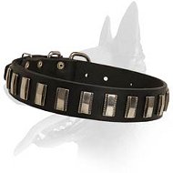 Decorated Leather Collar for Belgian Malinois