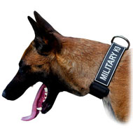All weather Nylon Collar with patches for Belgian Malinois